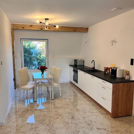Dworskiego 74, Apartament 3 プシェムィシル エクステリア 写真